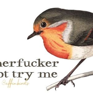 Meet your Posher, Elliott